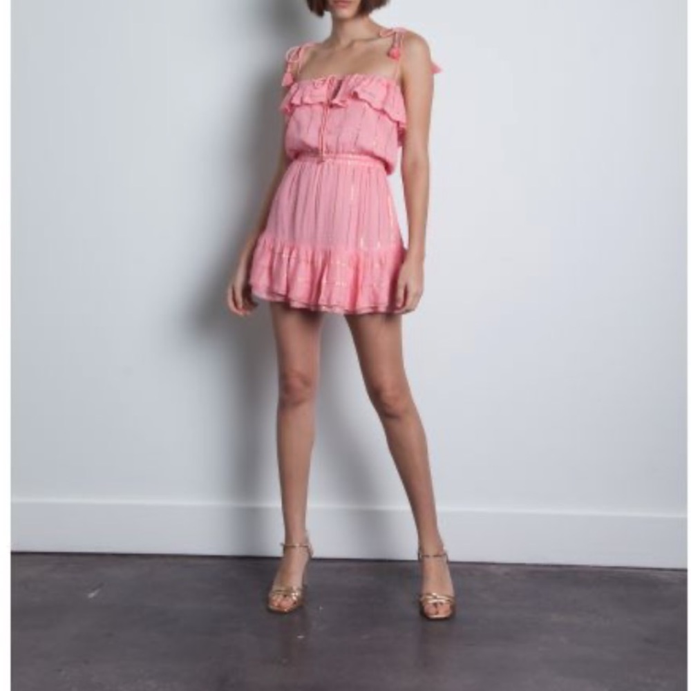Karina Grimaldi Pink Paloma Metallic Stripe Mini Dress🌸